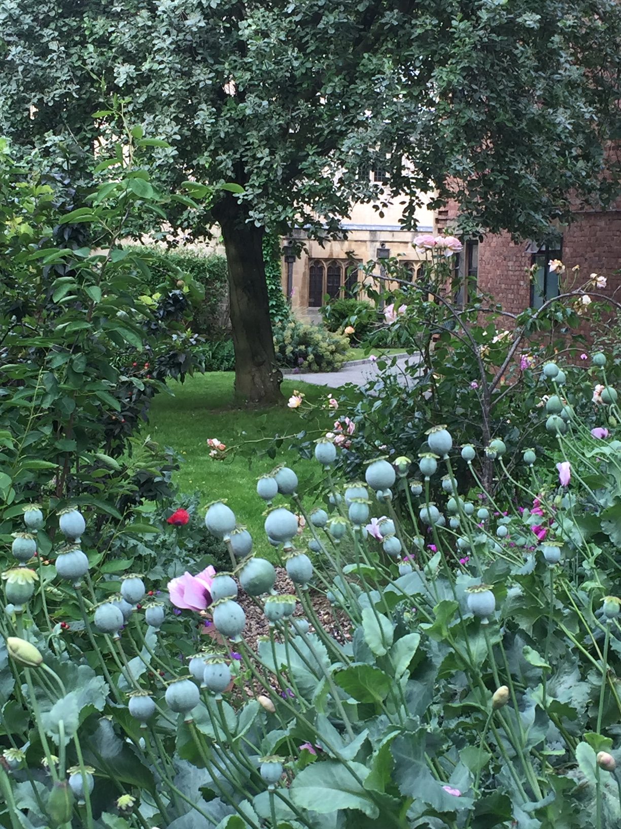 Blackfriars photo competition winners Blackfriars Priory & Studium